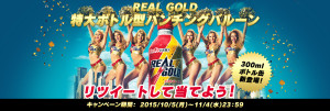 REAL GOLD 特大ボトル型パンチングバルーン