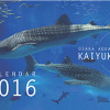 海遊館オリジナルカレンダー 2016を100名様にプレゼント！